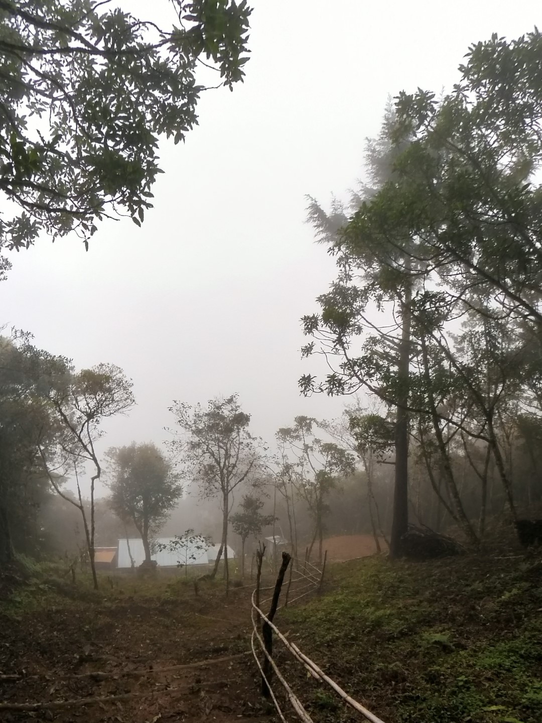 way to the ceremonial center